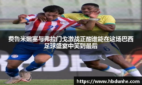 费鲁米嫩塞与弗拉门戈激战正酣谁能在这场巴西足球盛宴中笑到最后